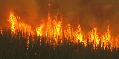 The Blueprint for Wildland Fire Science in Canada