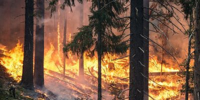 Countdown to Wildland Fire Canada 2019